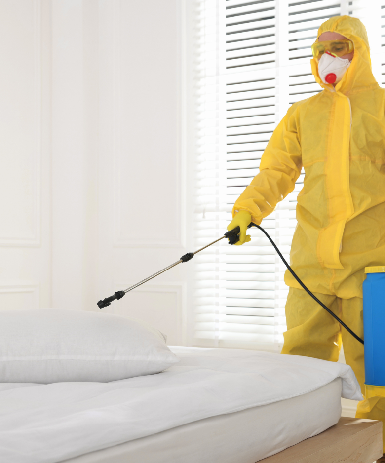 Professional Pest Control Team in Klemzig